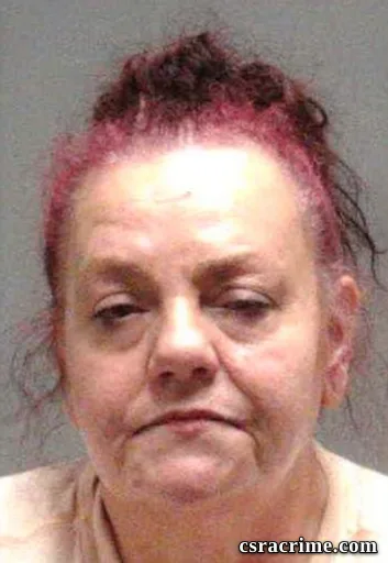 Renee A Anstett booking photo