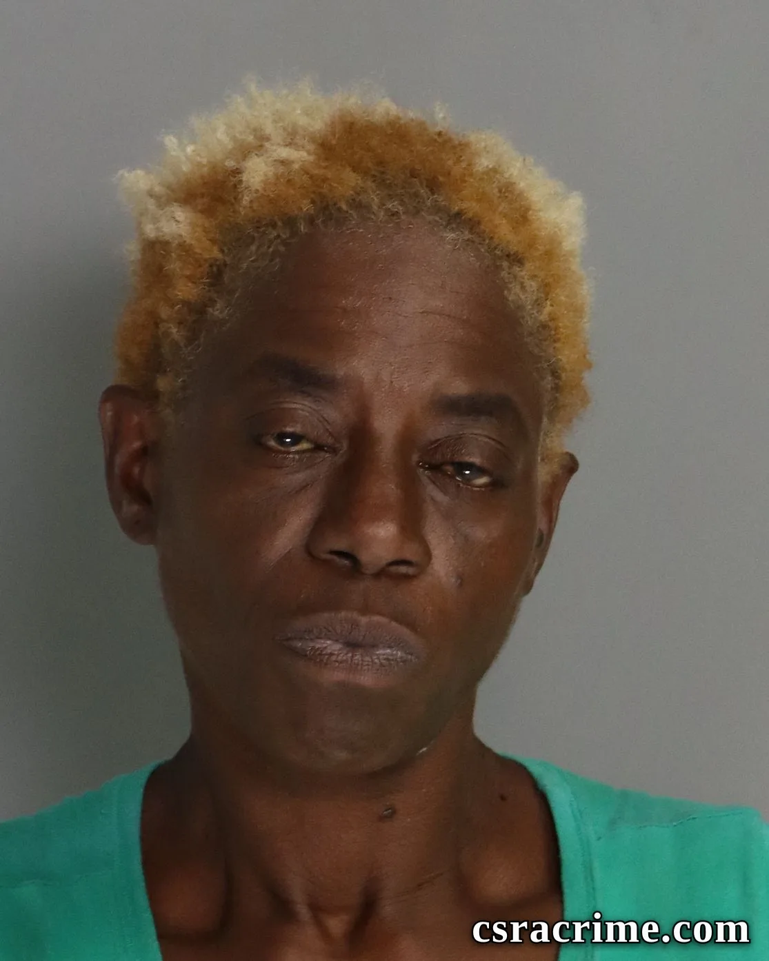 Renee Galloway booking photo