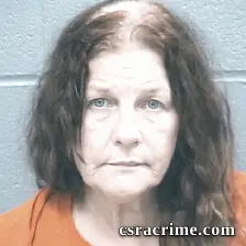 Renee Herndon booking photo