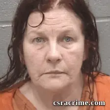 Renee Paulette Herndon booking photo