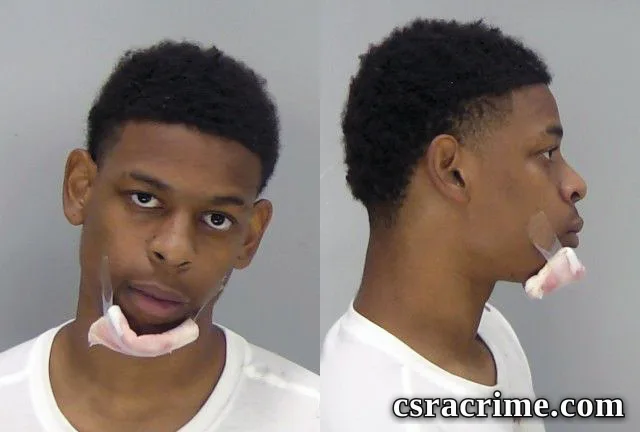 Renzo Hamilton JR booking photo