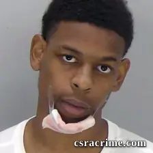 Renzo Hamilton JR booking photo