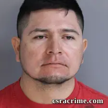 Ricardo De Los Santos Canetty booking photo