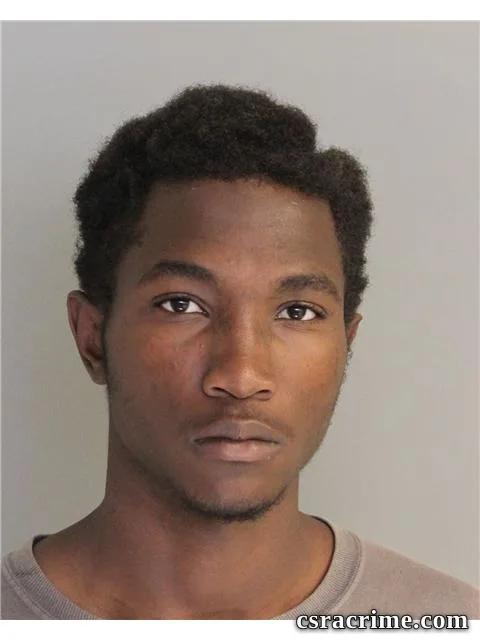 Richard Johnson JR booking photo