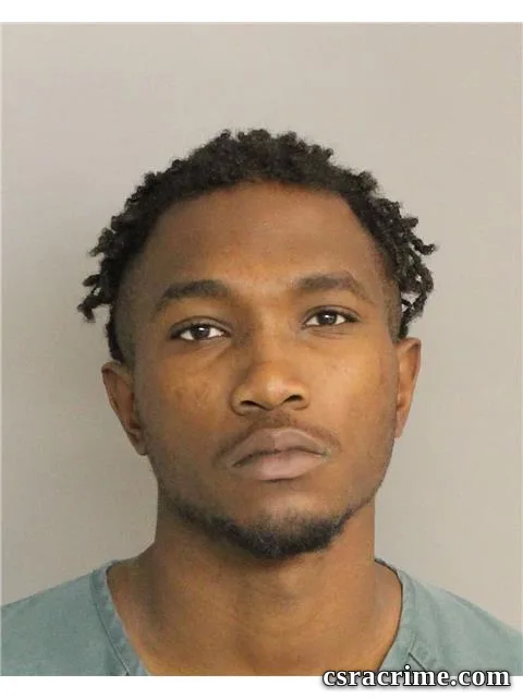 Richard Johnson JR booking photo