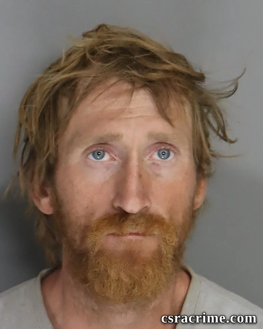 Richard Lewallen JR booking photo