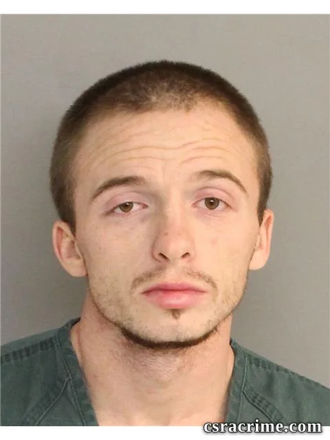 Richard Tice booking photo