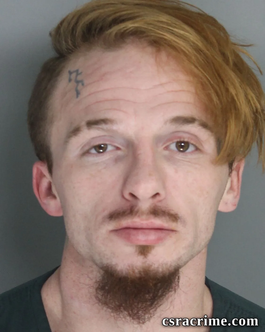 Richard Tice booking photo
