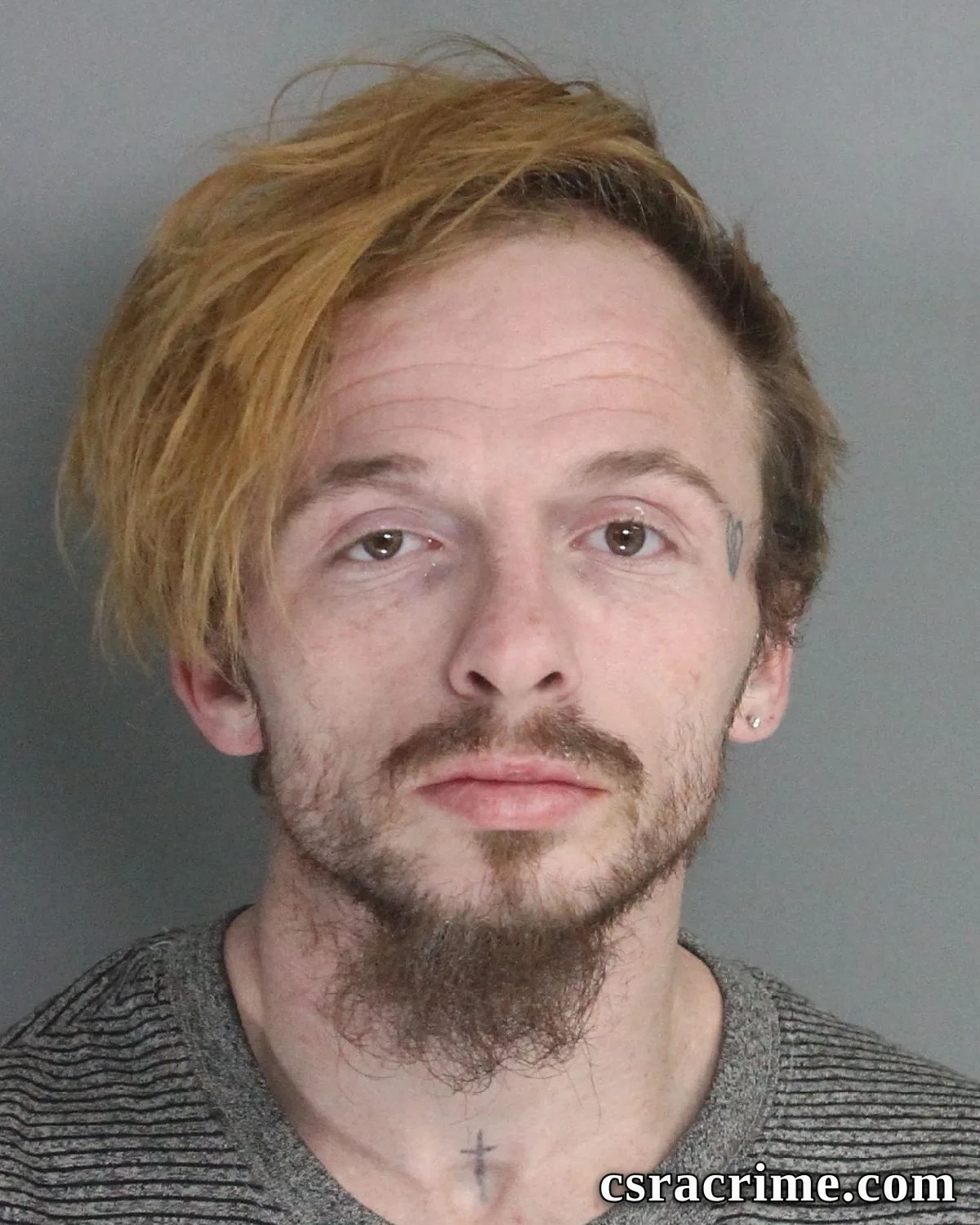 Richard Tice booking photo