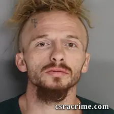 Richard Tice booking photo