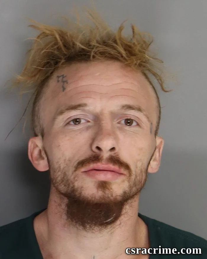 Richard Tice booking photo