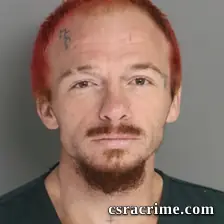 Richard Tice booking photo