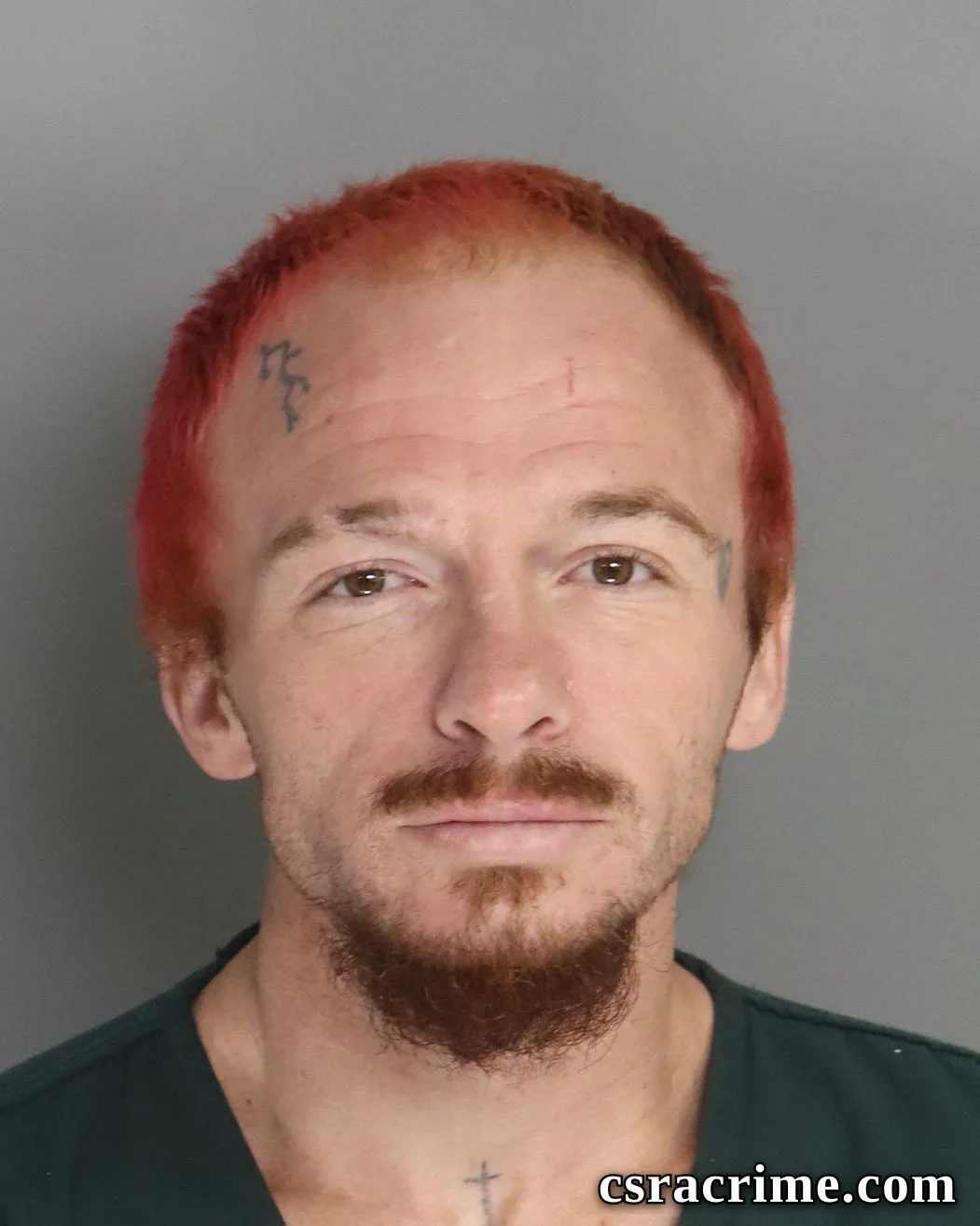 Richard Tice booking photo