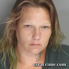 Ricki Johnson booking photo