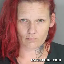 Ricki Johnson booking photo