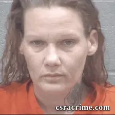 Ricki Johnson booking photo