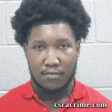 Ricky Butler booking photo