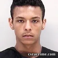 Ricky Dinh booking photo