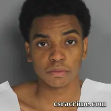 Ricky Johnson booking photo