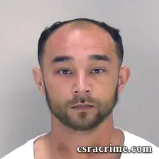 Robbie Dinh booking photo