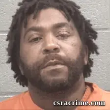 Robert Ashley Rickerson JR booking photo