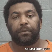 Robert Ashley Rickerson JR booking photo