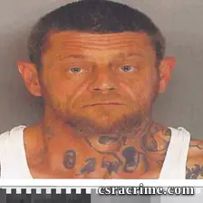 Robert Castle booking photo