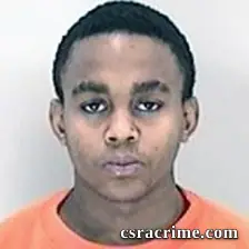 Robert Ealy JR booking photo