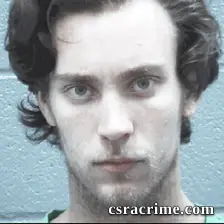 Robert Freese booking photo