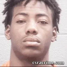 Robert Gibson booking photo