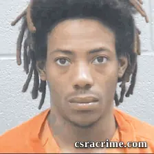 Robert Gibson booking photo