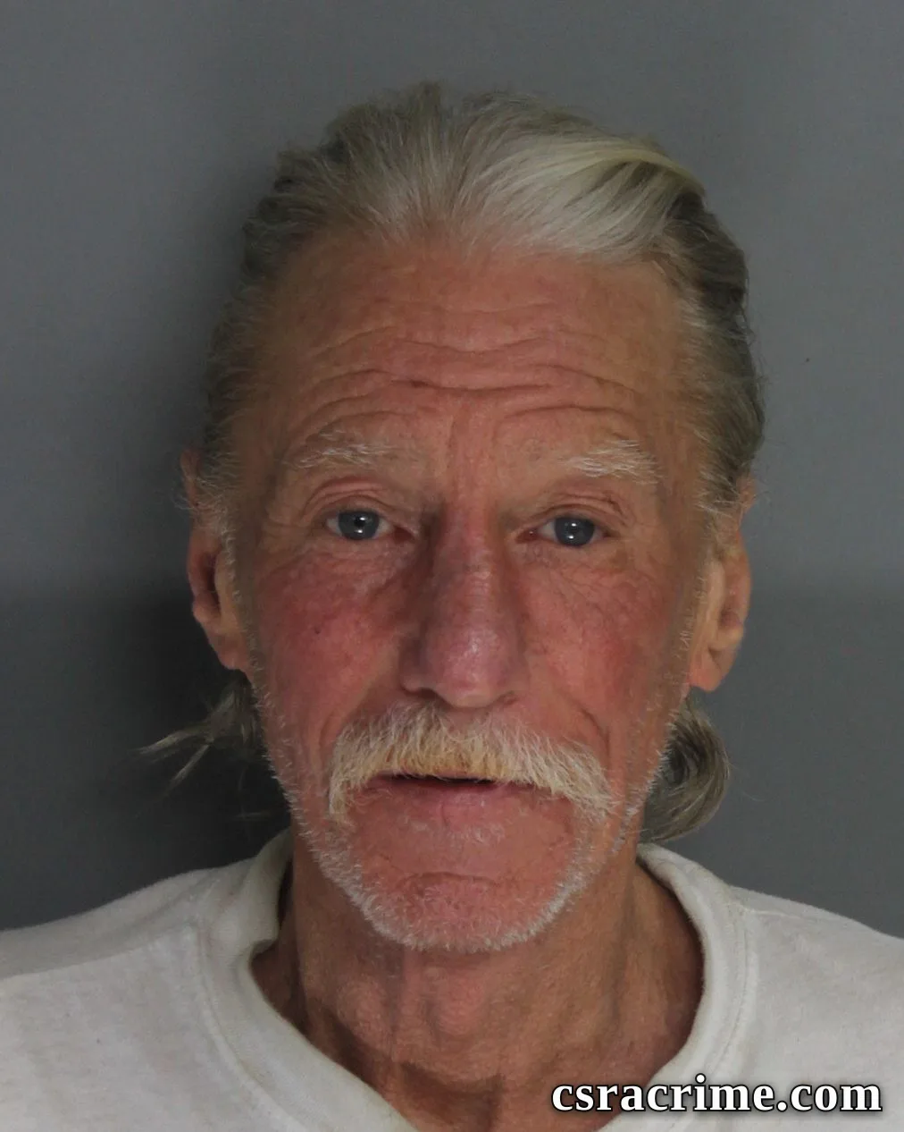 Robert Hamm booking photo