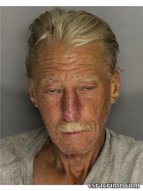 Robert Hamm JR booking photo