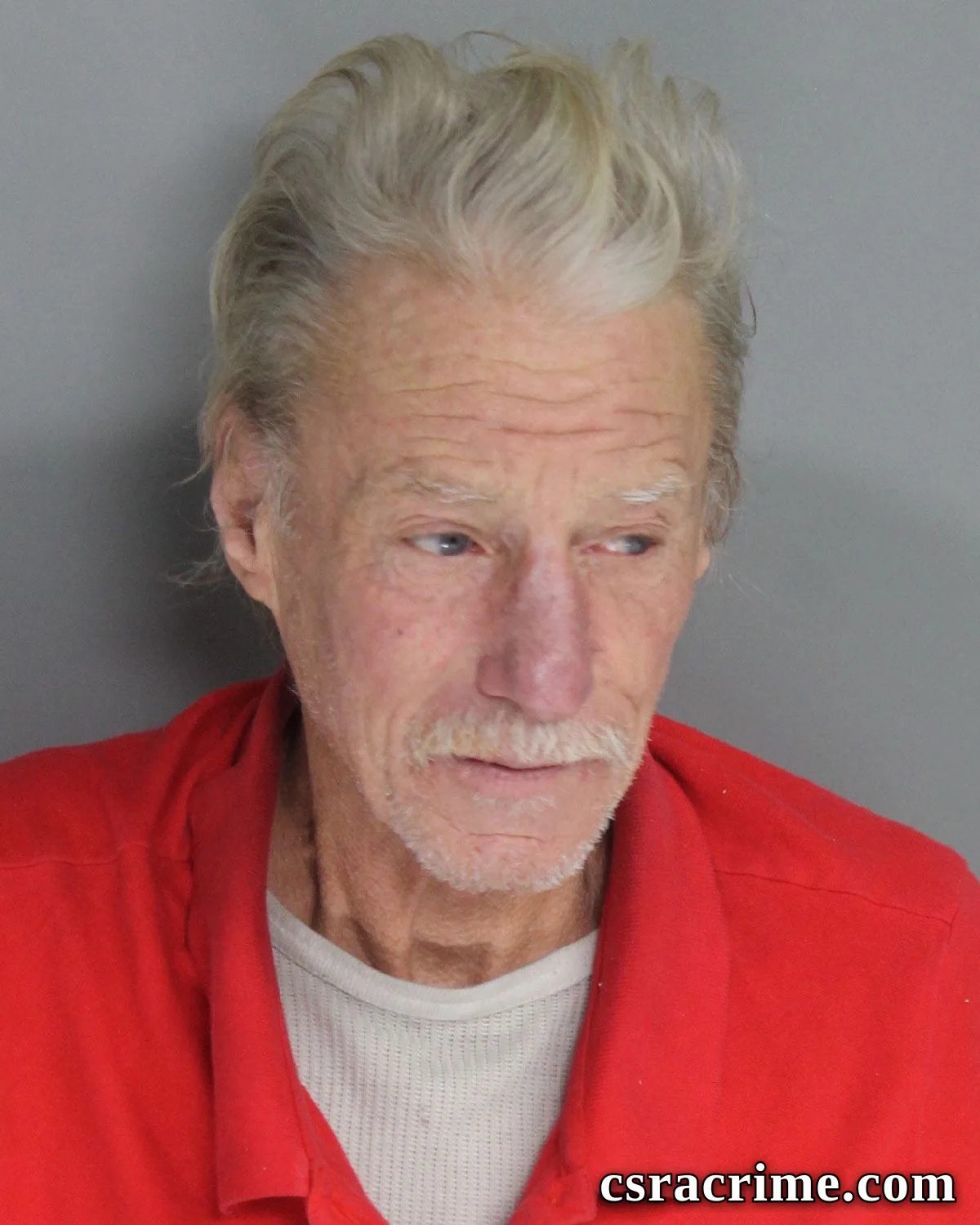 Robert Hamm JR booking photo