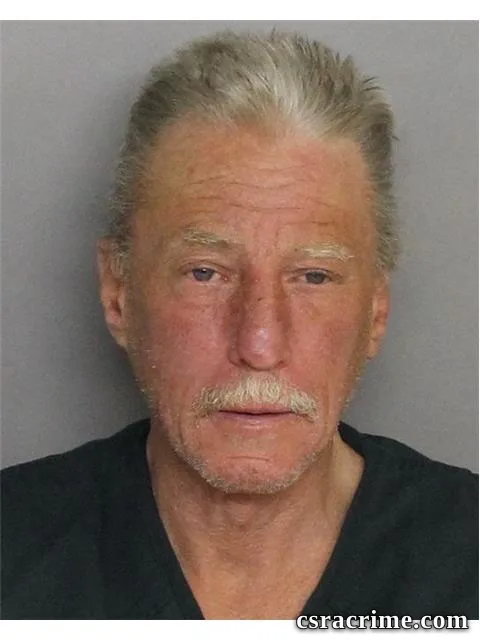 Robert Hamm JR booking photo