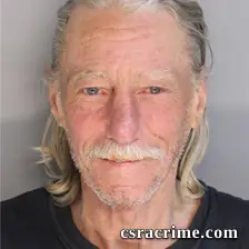 Robert Hamm JR booking photo