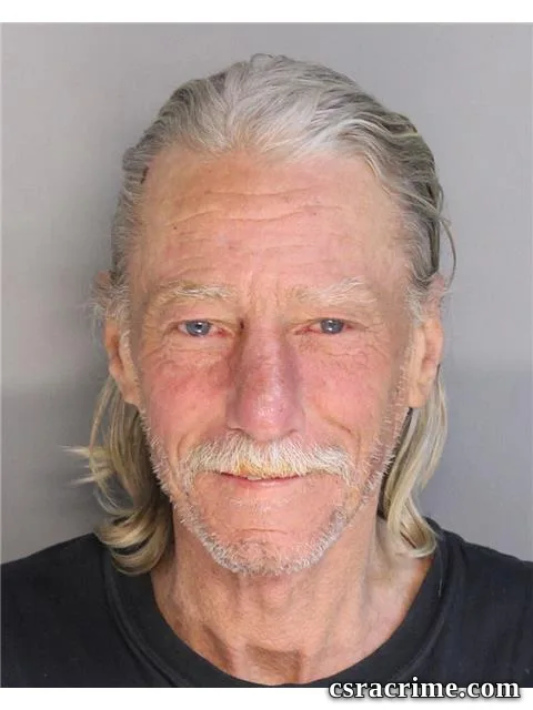 Robert Hamm JR booking photo