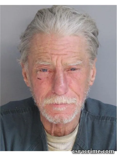 Robert Hamm JR booking photo