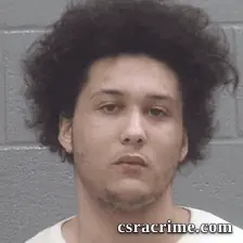 Robert Harris booking photo