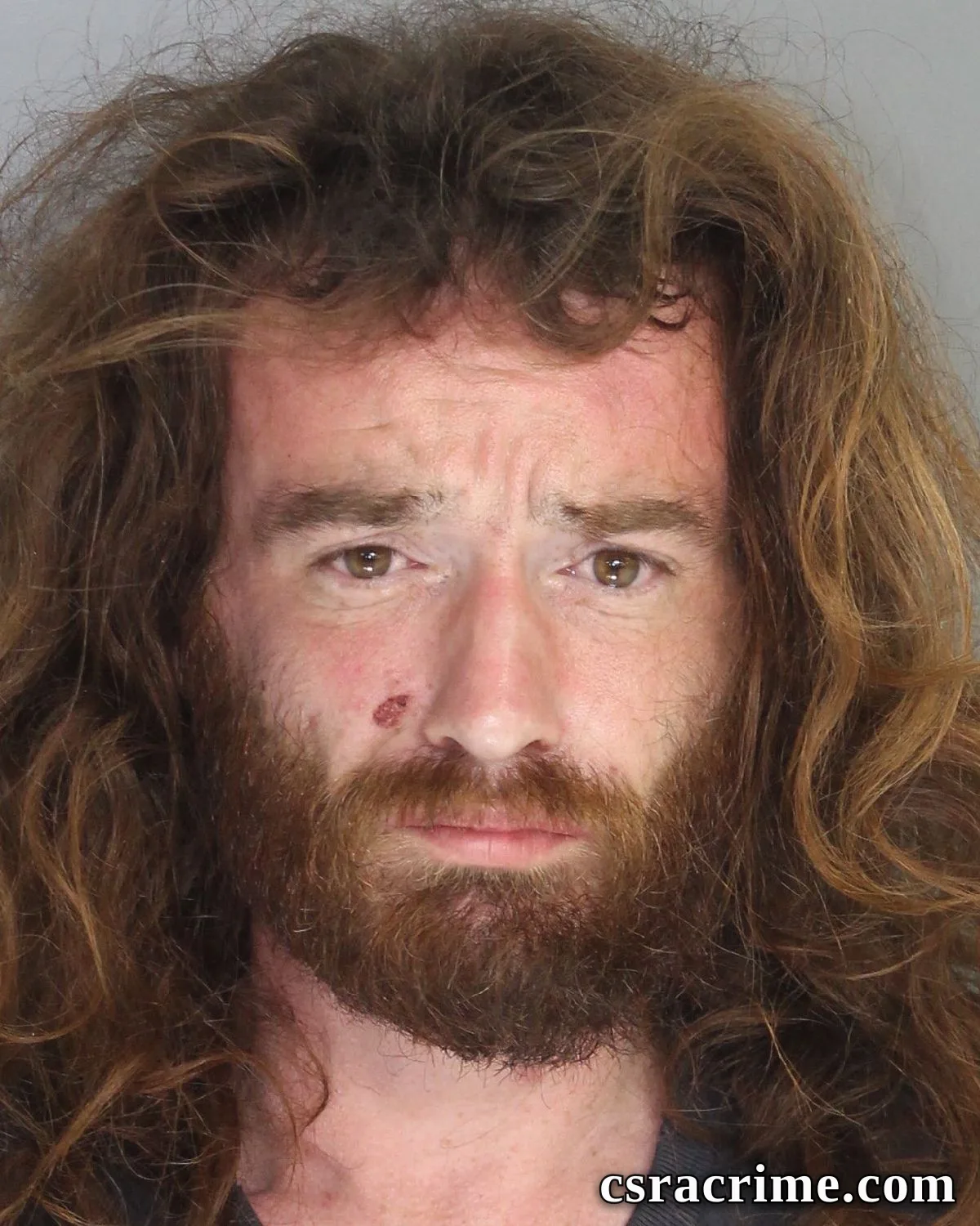 Robert Krause booking photo