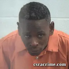 Robert Lamond Williams booking photo