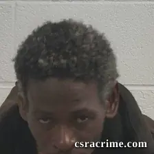 Robert Lamond Williams booking photo