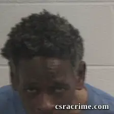 Robert Lamond Williams booking photo