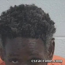 Robert Lamond Williams booking photo