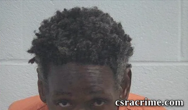 Robert Lamond Williams booking photo