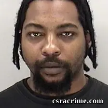 Robert Lee booking photo