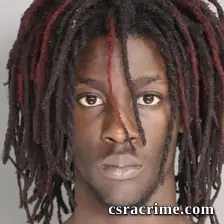 Robert Mccall JR booking photo
