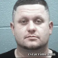 Robert Palmer booking photo