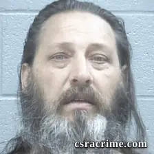 Robert Powell booking photo