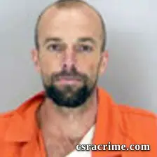 Robert Sheehan booking photo